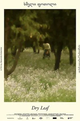 神秘之旅：追踪摄影师丽莎