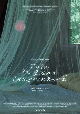 黄昏下的魔法之月