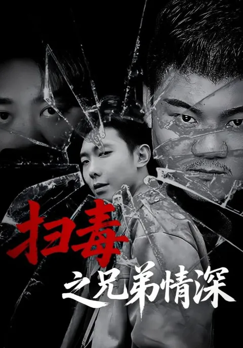 扫毒之兄弟情深