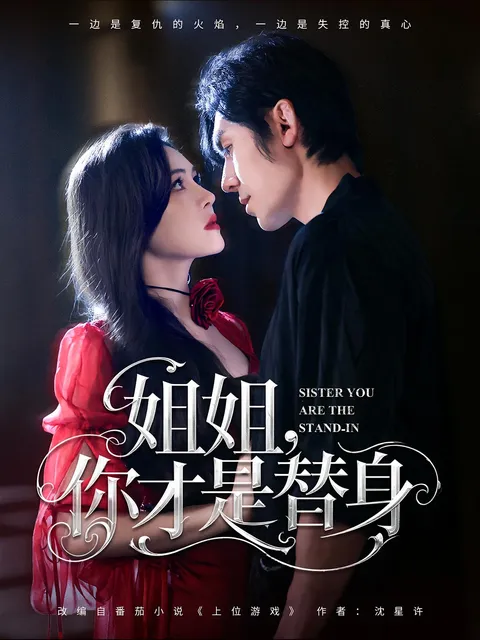 姐姐你才是替身