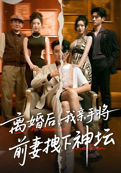 离婚后我亲手将前妻拽下神坛