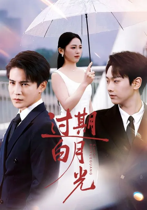《过期白月光》剧情揭秘