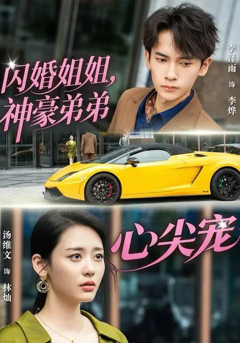 甜美姐弟恋：《闪婚姐姐，神豪弟弟心尖宠》剧情介绍