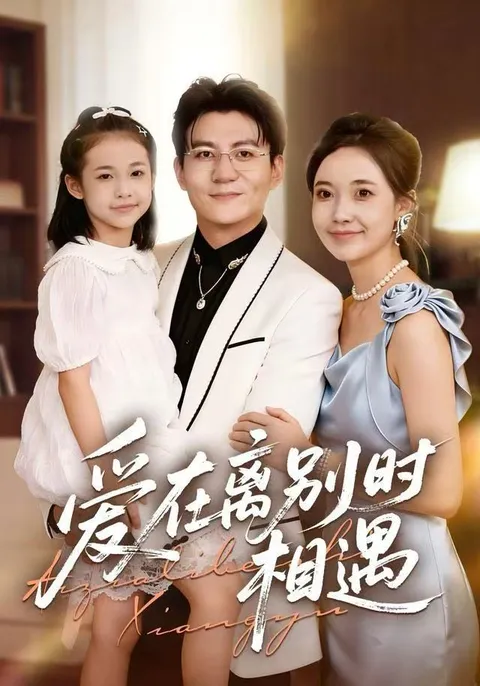 离别的痛楚与重逢的温馨：《爱在离别时相遇》独家剧情揭秘