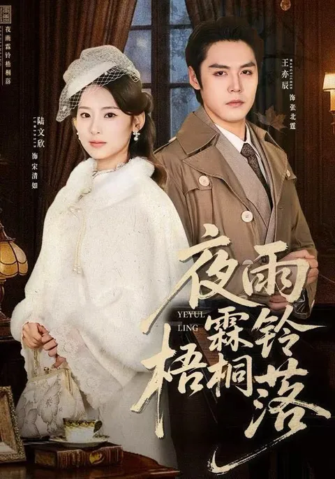 揭秘《夜雨霖铃梧桐落》的剧情