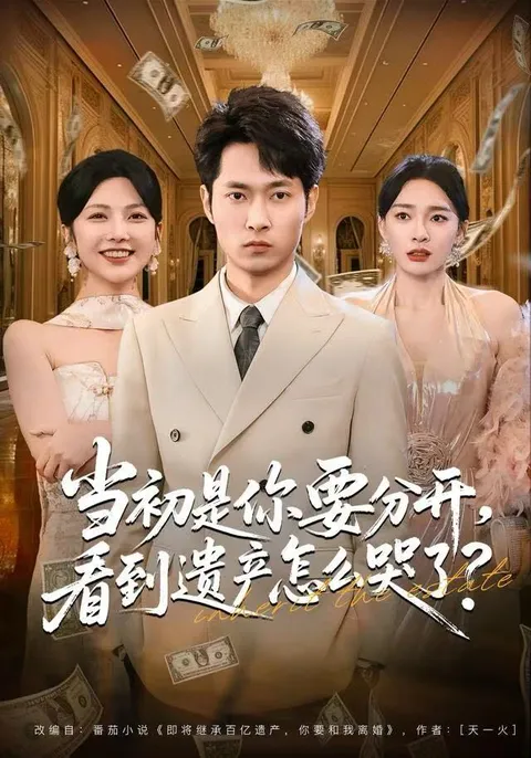 《当初是你要分开》：遗产带来的情感波澜