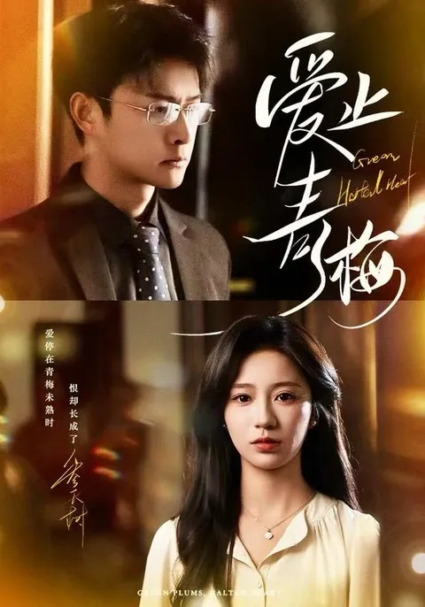 剧情紧凑的《爱止青梅》