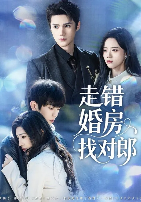 《走错婚房找对郎》剧情大揭秘