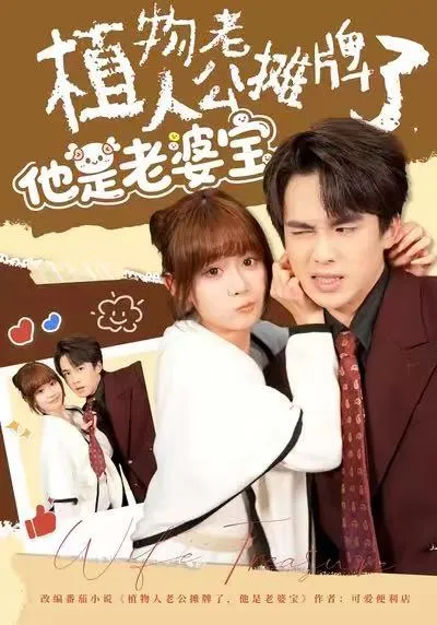 揭秘《植物人老公摊牌了，他是老婆宝》，一段感人至深的故事