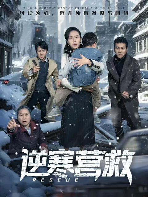 精彩剧情不断：《逆寒营救》