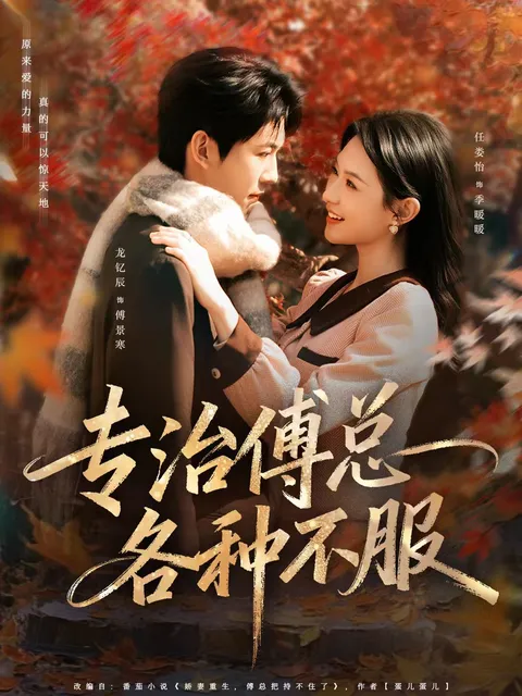 《专治傅总各种不服》剧情揭秘