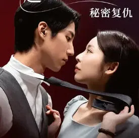 精彩密谋——《秘密复仇》