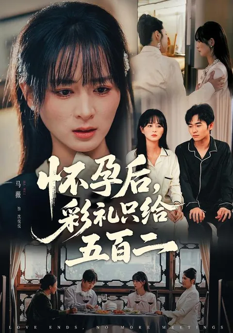 《怀孕后，彩礼只给五百二》：一场特别的爱情故事