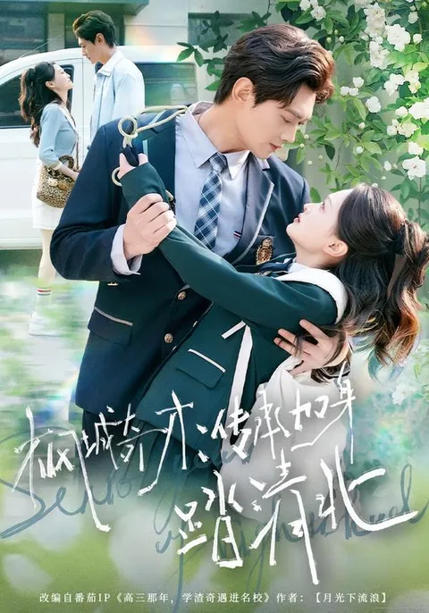 《枫城奇才》：主角如何克服挑战