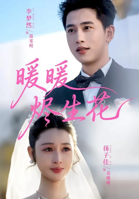 剧情紧凑的国语爽文短剧：《暖暖烬生花》