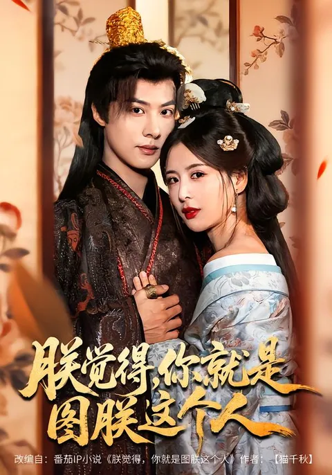 朕觉得-你就是图朕这个人：剧情紧凑古装爽剧