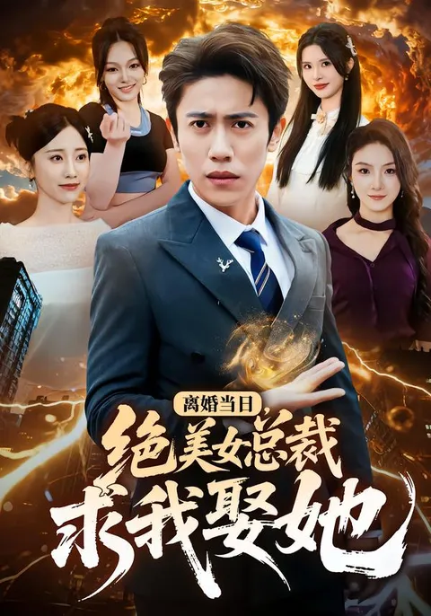 情路曲折：离婚当日，绝美女总裁求我娶她