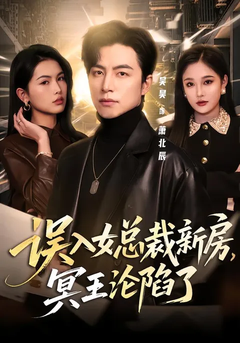 一段意外邂逅：冥王与女总裁的爱恨纠葛