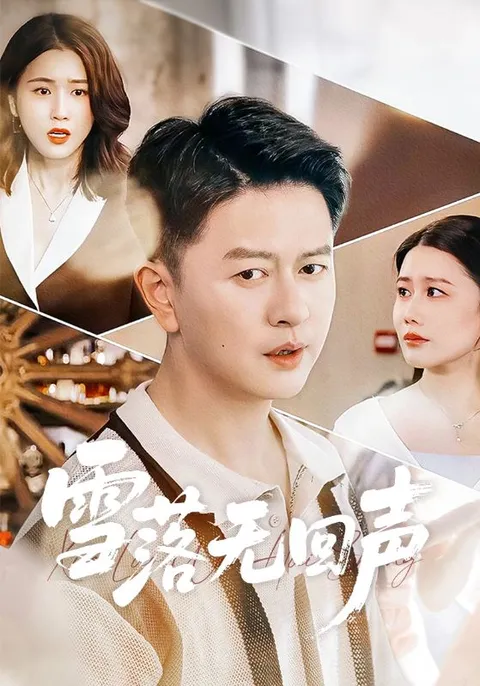 剧情揭秘：《雪落无回声》带你领略别样故事