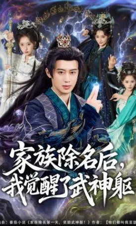 一场觉醒与复仇的家族传奇 - 家族除名后我觉醒了武神躯