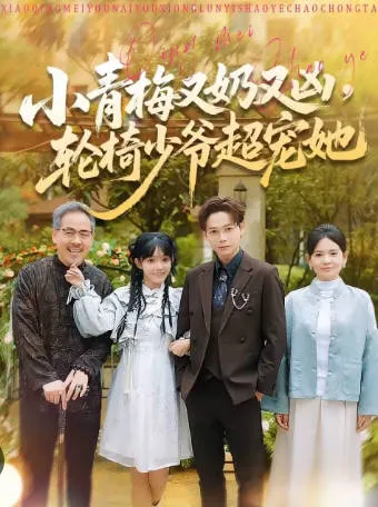 轮椅少爷超宠她，剧情引人入胜