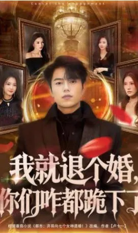 我就退个婚：一场情感较量引发的剧情风暴