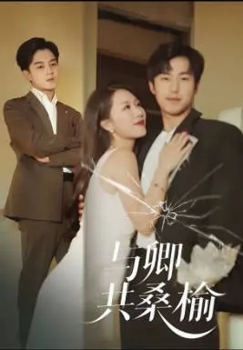 与卿共桑榆剧情向短剧介绍