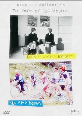 布里吉·莫汉万岁